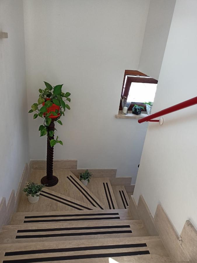Il Faggio 17 B&B Артена Екстериор снимка